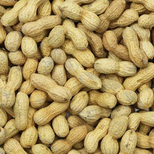 Pinda's in dop Doppinda 500gr