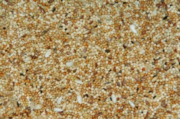 Wielink Parkiet Extra 20kg