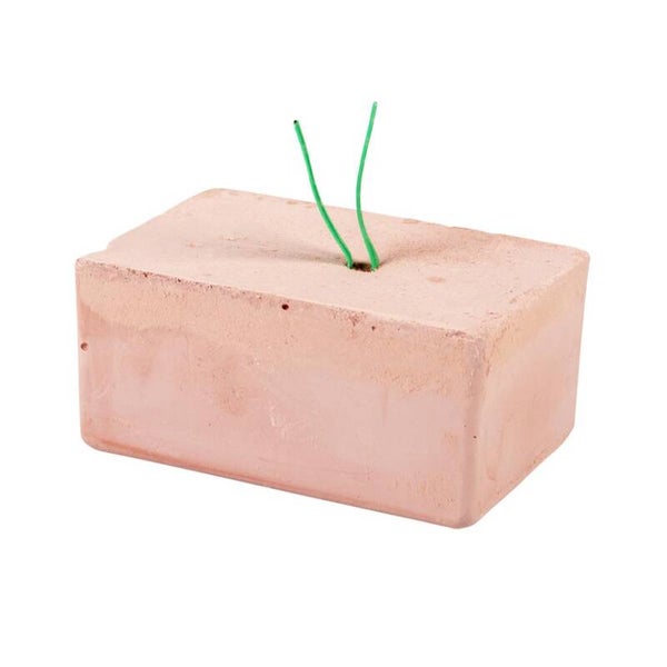 Witte Molen Energy block Medium Rood