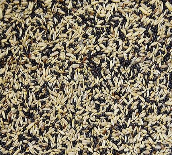 Vogro Kanariezaad eco 5kg