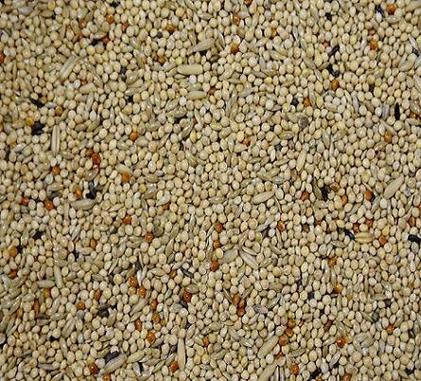 Vogro Grasparkietenzaad 5kg