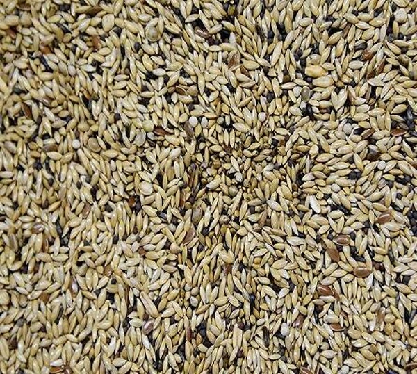 Vogro Kanariezaad postuur 5kg