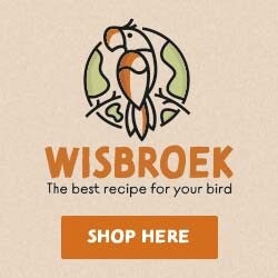 Wisbroek