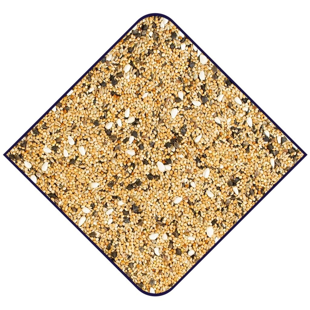 Witte Molen Expert Neophemazaad 5 kg