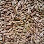 Hele Gepunte Haver 20kg Havens