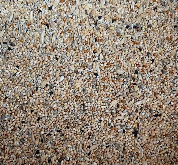 Slaats Rijstvogelzaad 5 kg