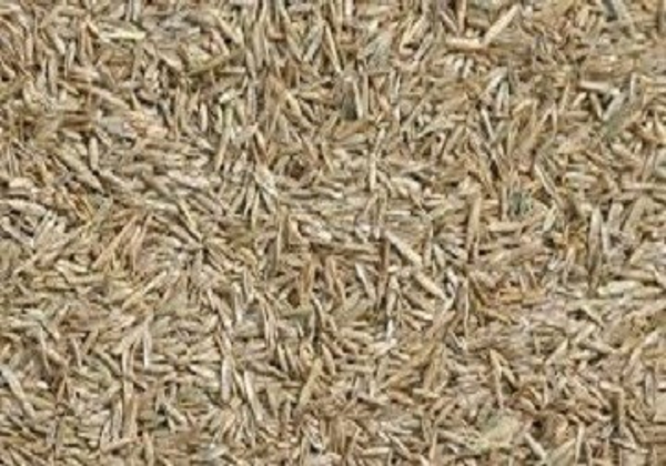 Graszaad voor vogels GROF 1kg