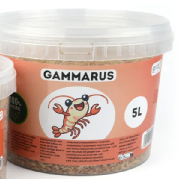 GAMMARUS 5 liter