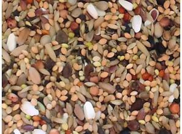 Slaats Hanmar Agapornide kweek 20kg