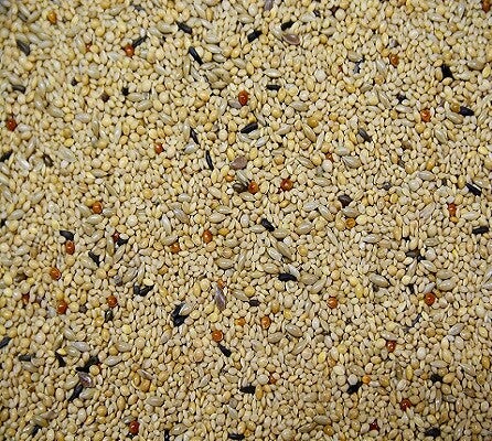 Vogro Tropischzaad 5kg