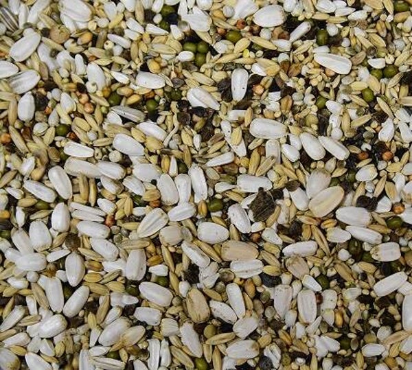 Vogro Kiemzaad Grote Parkiet & Papegaai 2,5 kg