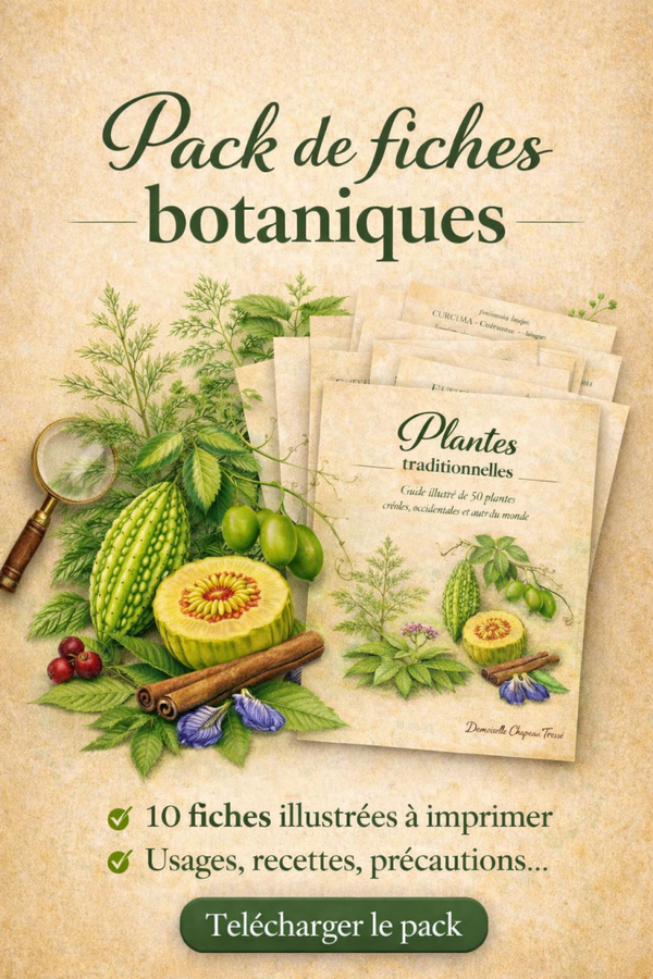 Pack 10 fiches botaniques - Volume 1