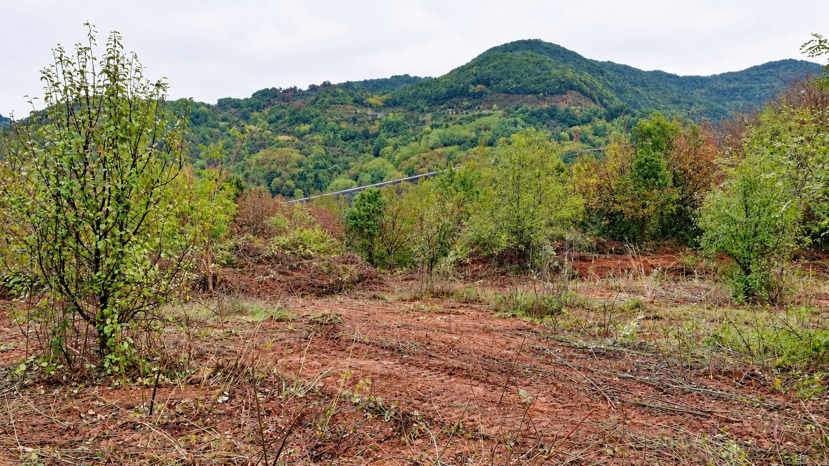 Ex discarica in località Colonne, Sant’Agata d’Esaro: stato dei luoghi.