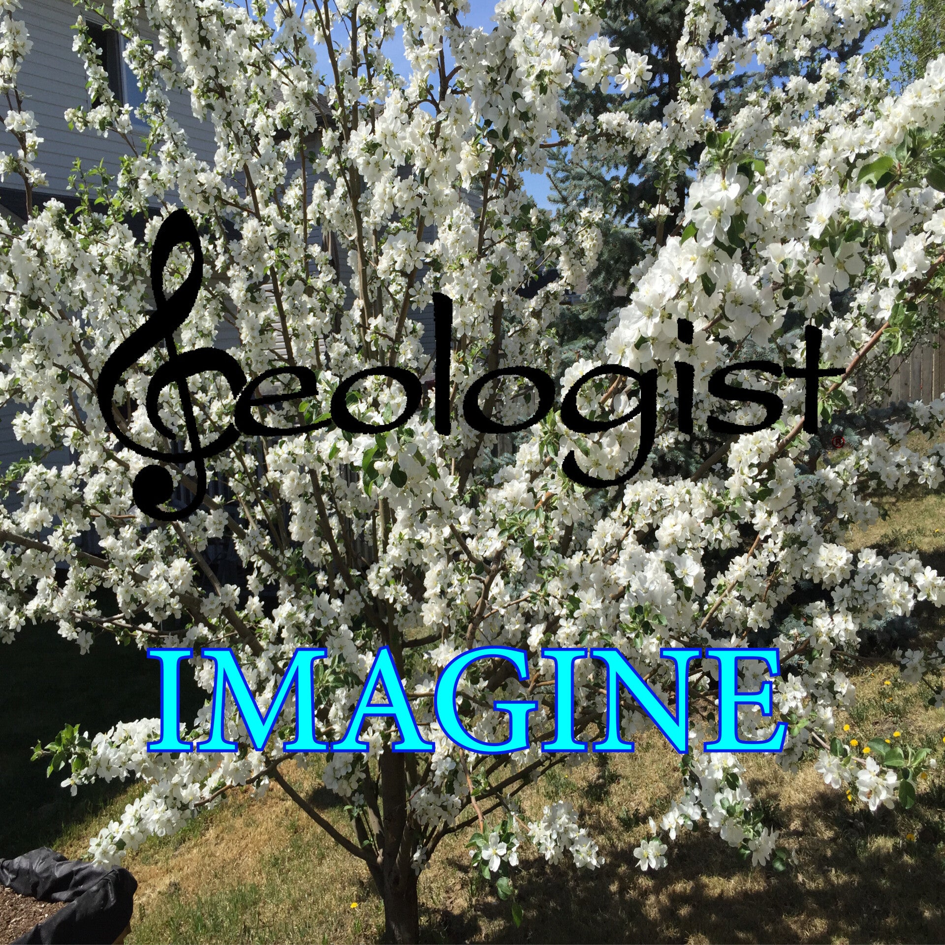 Imagine - Geologist - Single - 2024.