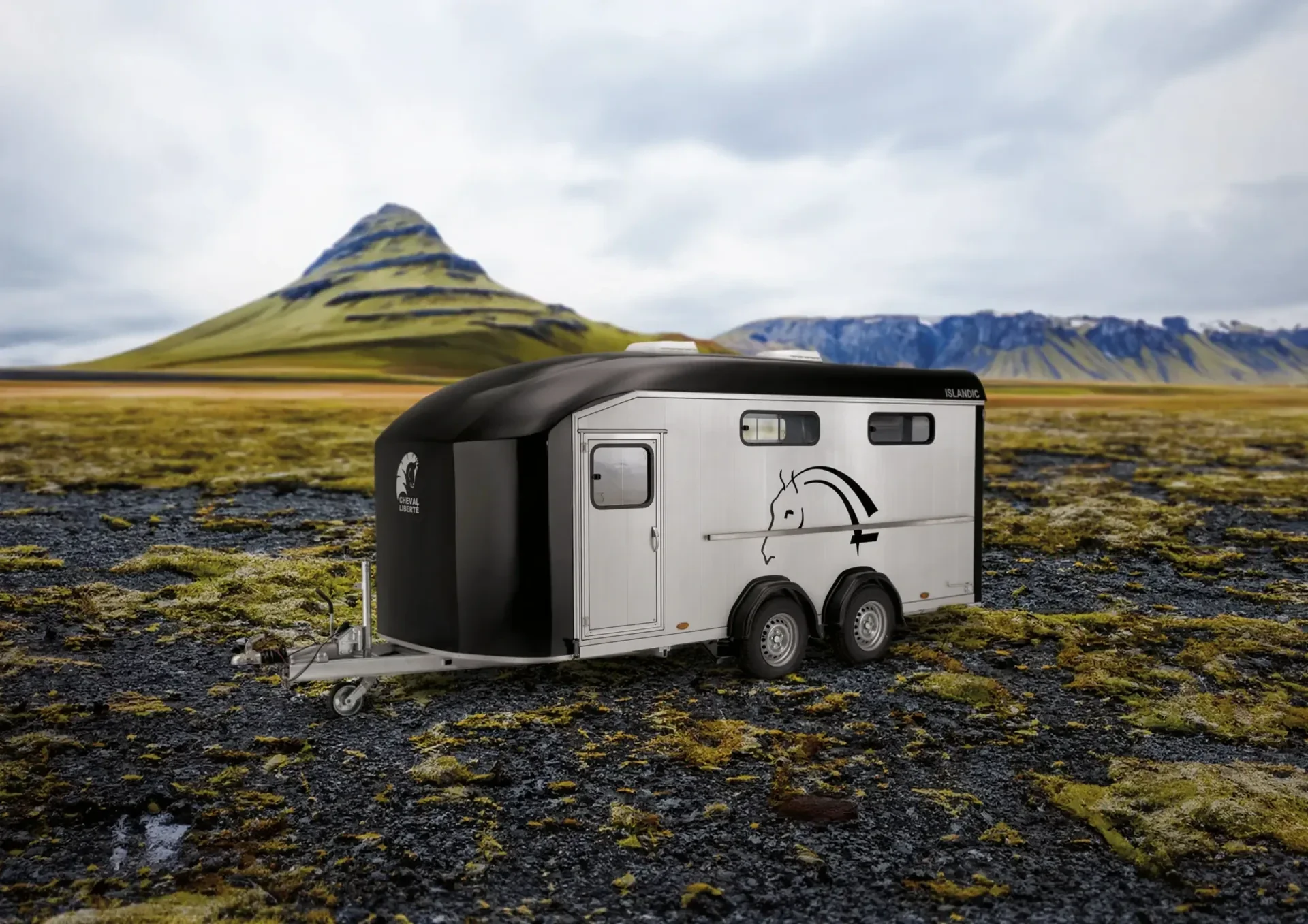 AN ISLANDIC - CHEVAL LIBERTE