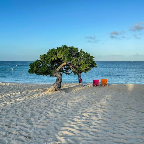 Divi Aruba Resort by the beach