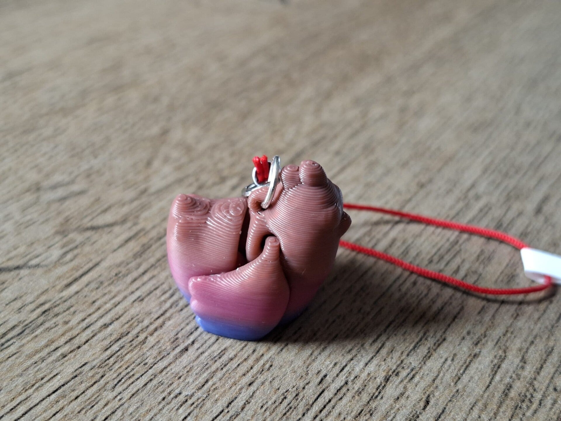 Telefoonhanger : 3D : Multicolor Kip !! 1