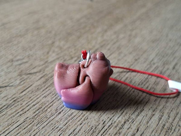 Telefoonhanger : 3D : Multicolor Kip !! 1