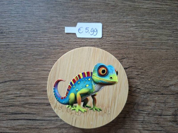 Flessen-Opener : Gekleurde Hagedis !! 1