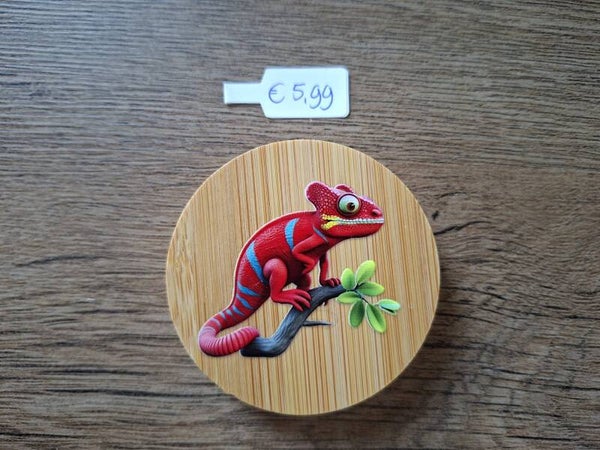 Flessen-Opener : Gekleurde Hagedis !! 2