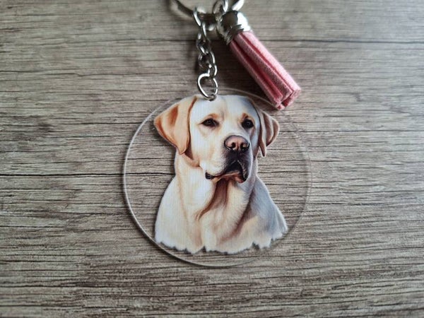 Sleutelhanger : Hondje : Labrador !!