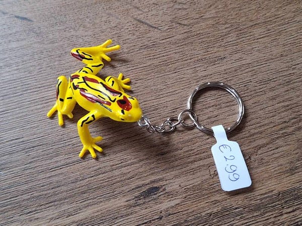 Sleutelhanger : Kikker !! 4