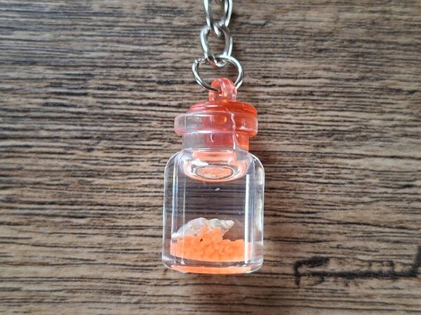 Sleutelhanger : Glow in Dark : Schelp in Flesje !! 8