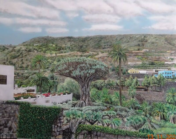 DRAGO MILENARIO TENERIFE