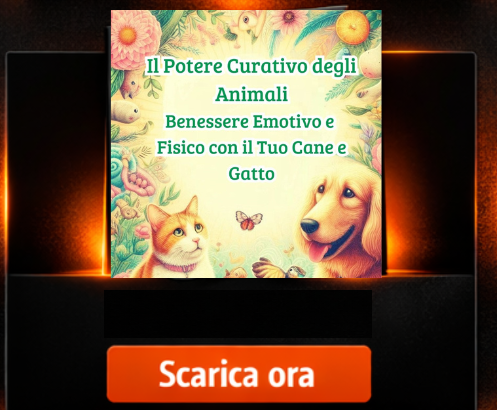 https://www.mf82p.org/crescita-personale
