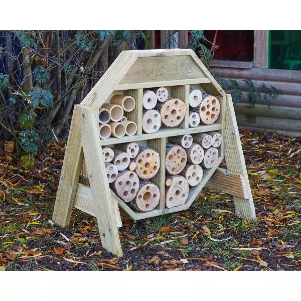 Bugsville Hive