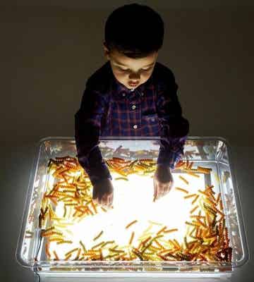 A3 Light Panel + Deep Tray