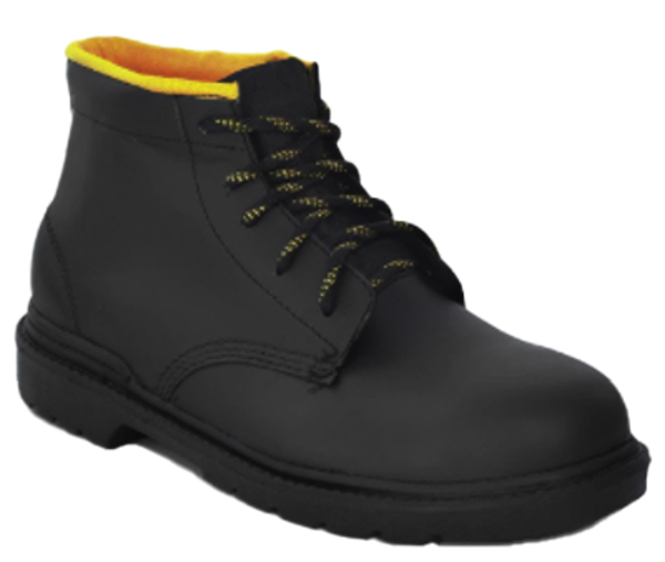 BOTA LIC MOD.101ANH  T-25