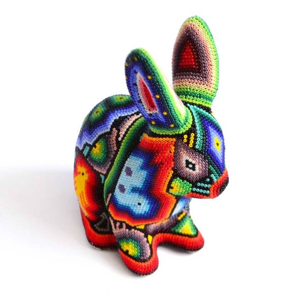 Conejo colorido