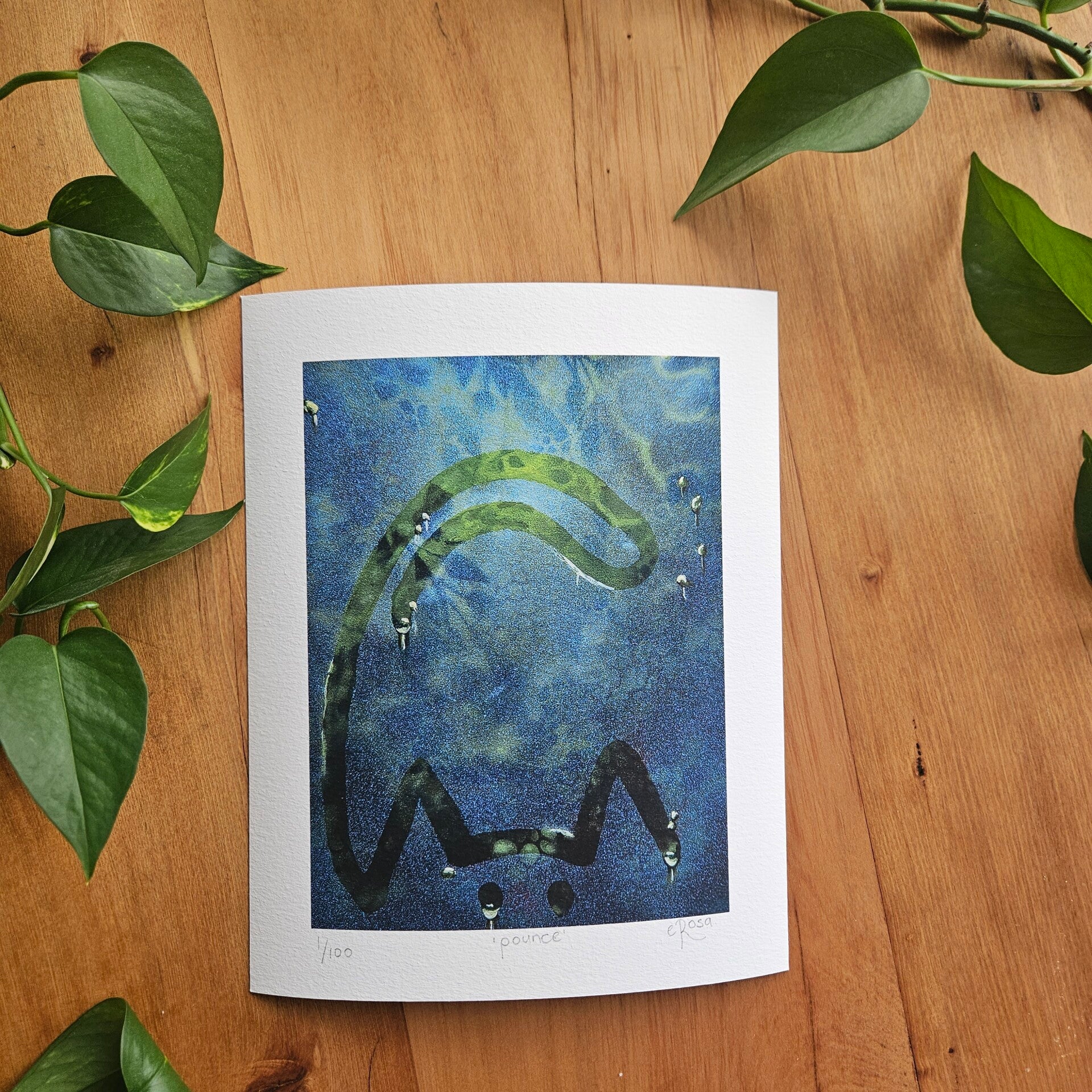 POUNCE - Limited Edition