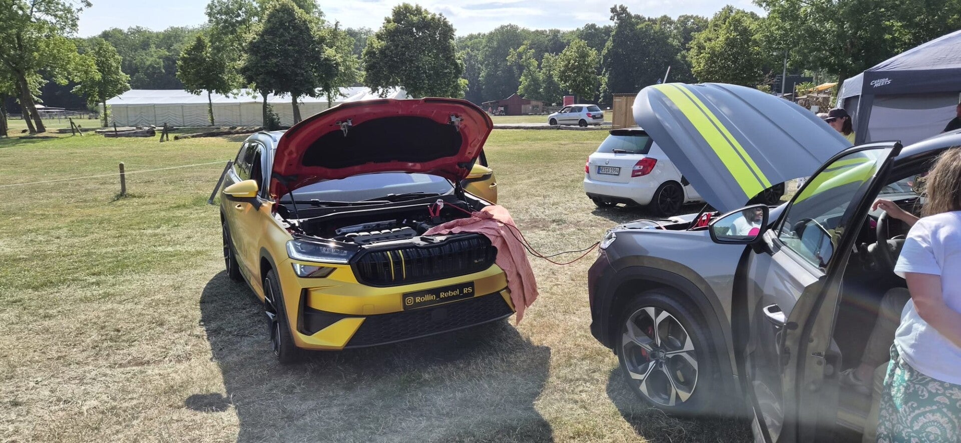 7af1c278-317c-425b-9ca1-5d8977be1a69-standard.jpg