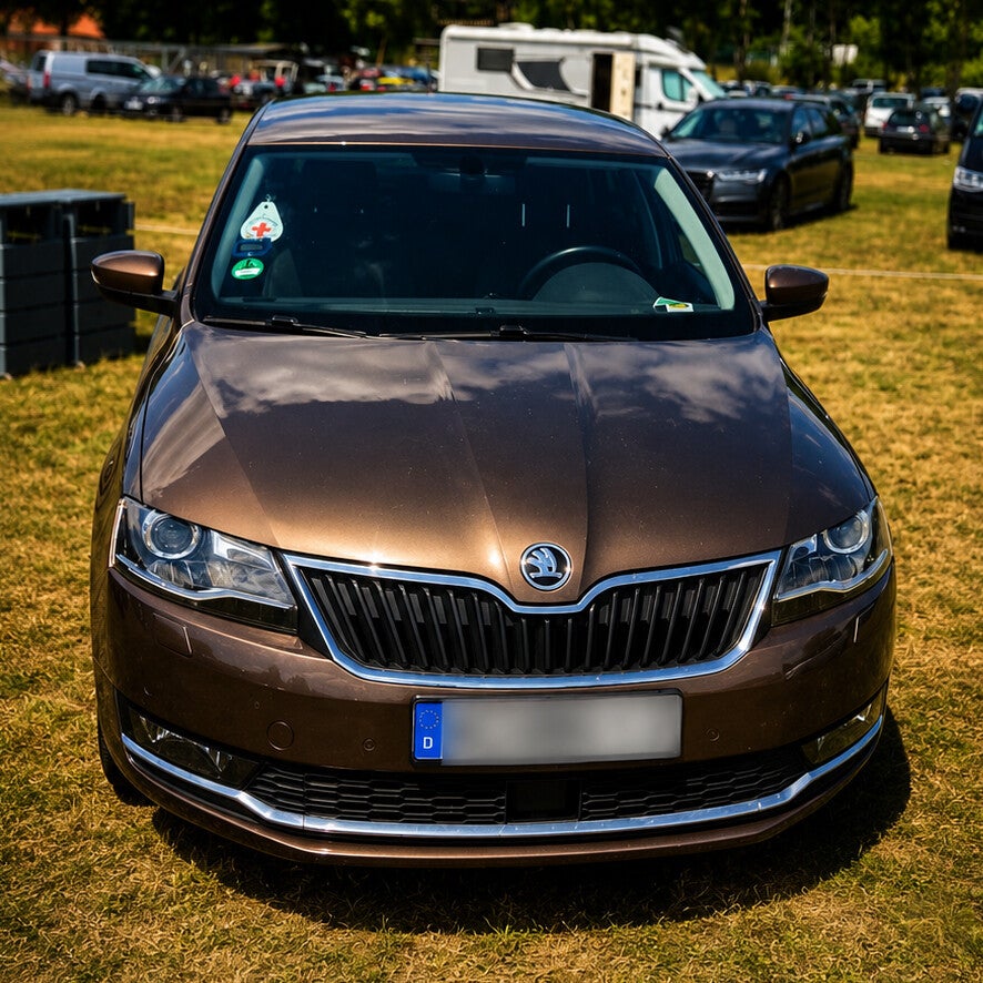 img_5639-standard.jpg