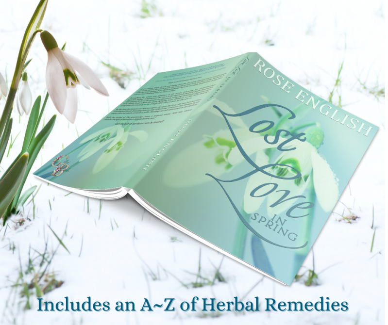 Lost Love in Spring Book