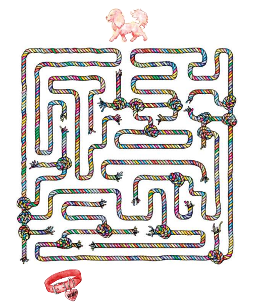 Find Ruby's Collar Maze