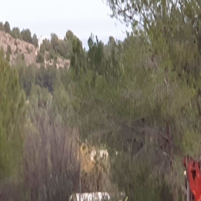 20191127_174634.jpg