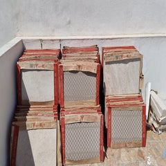 whatsapp-image-2025-04-23-at-15-27-36-standard-axihkw.jpg