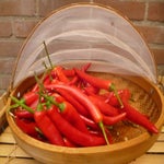 Peper