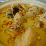 Ayam opor