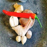 Babi pangang