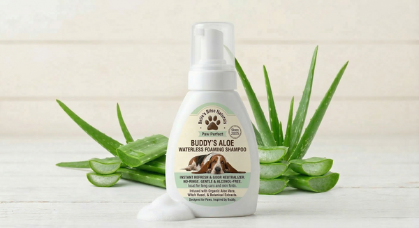 Buddy’s Aloe Waterless Foam Shampoo 🐾