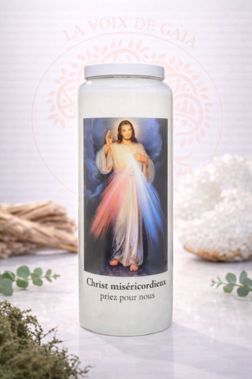 NEUVAINE CHRIST MISERICORDIEUX