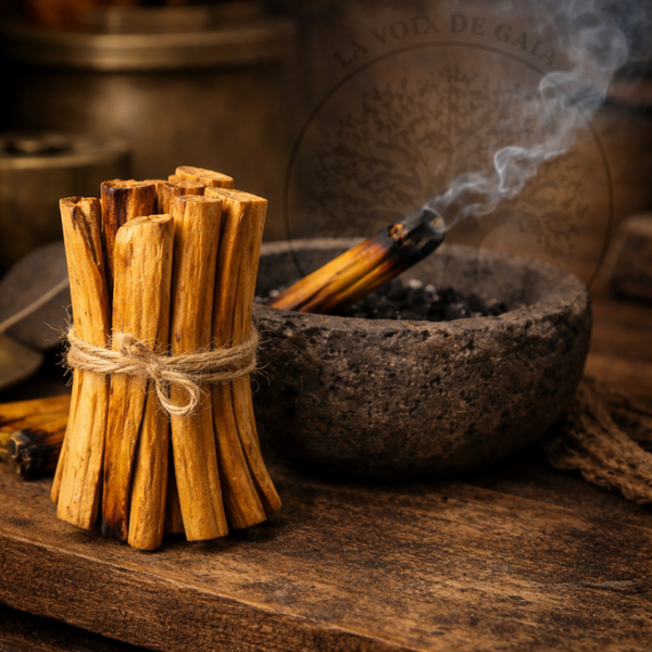 Bâton de Palo Santo