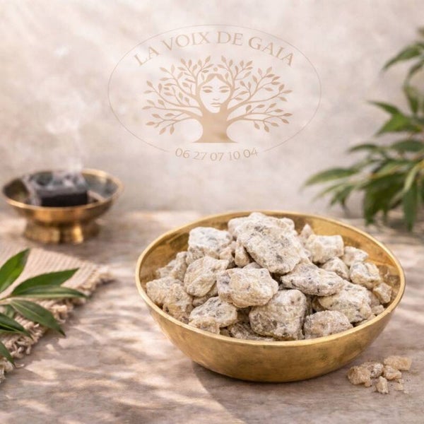 Encens en Grains Benjoin