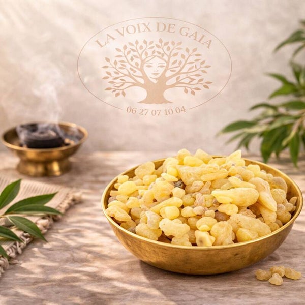 Encens en Grains Copal