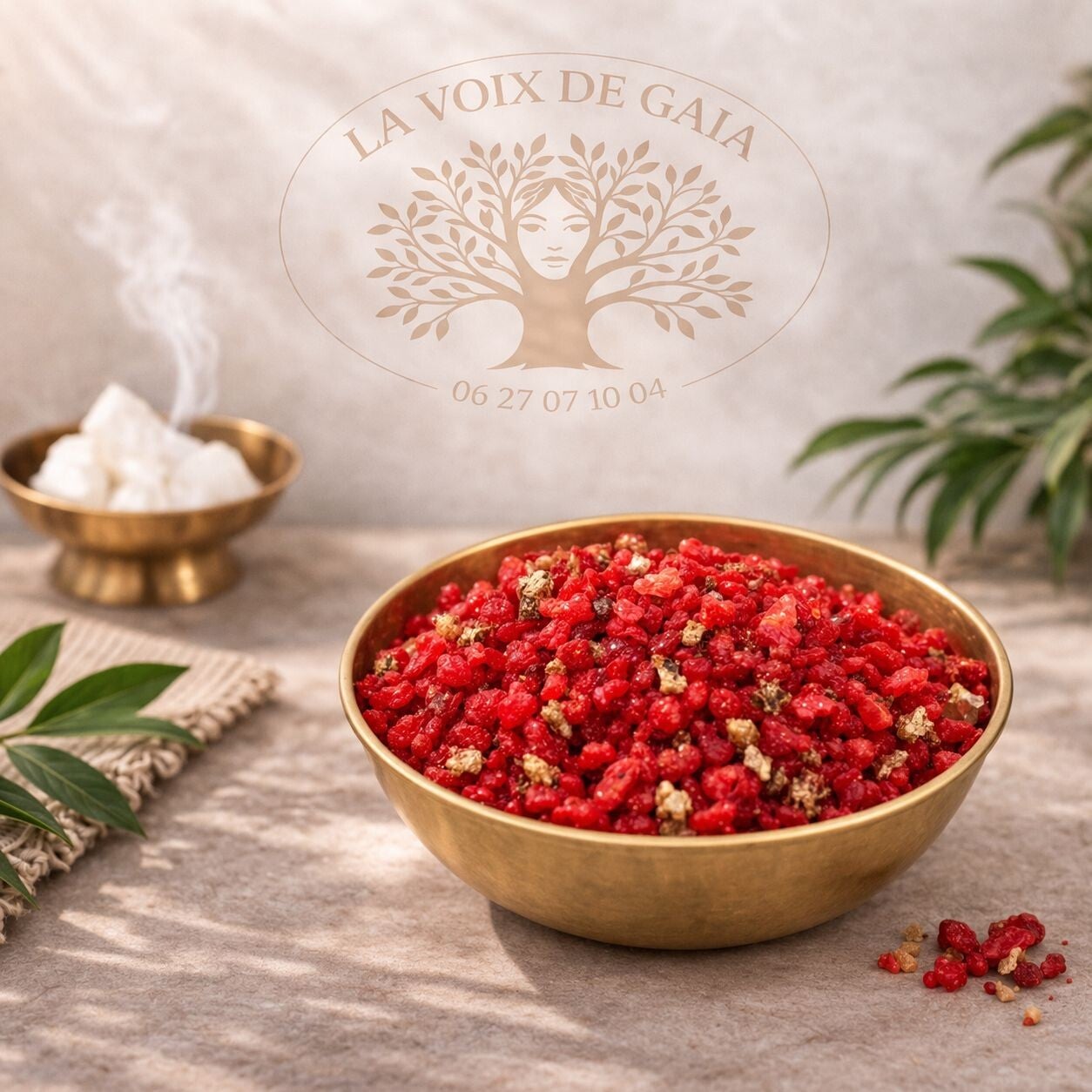 Encens en Grains Saint Expédit