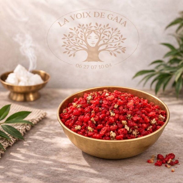 Encens en Grains Saint Expédit